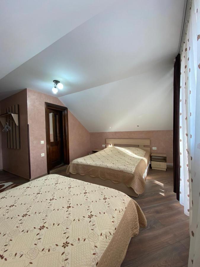Pensiunea Casa Alexandra 瓦特拉多梅 外观 照片