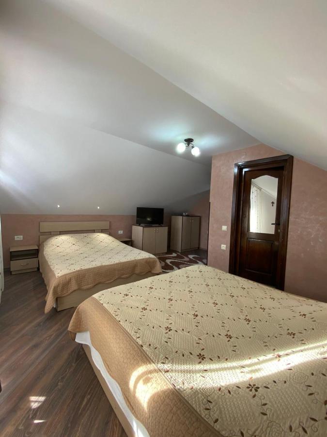 Pensiunea Casa Alexandra 瓦特拉多梅 外观 照片