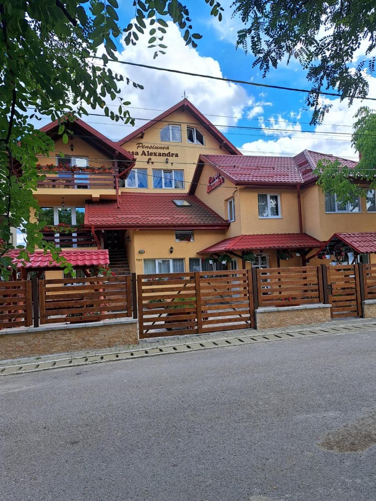Pensiunea Casa Alexandra 瓦特拉多梅 外观 照片