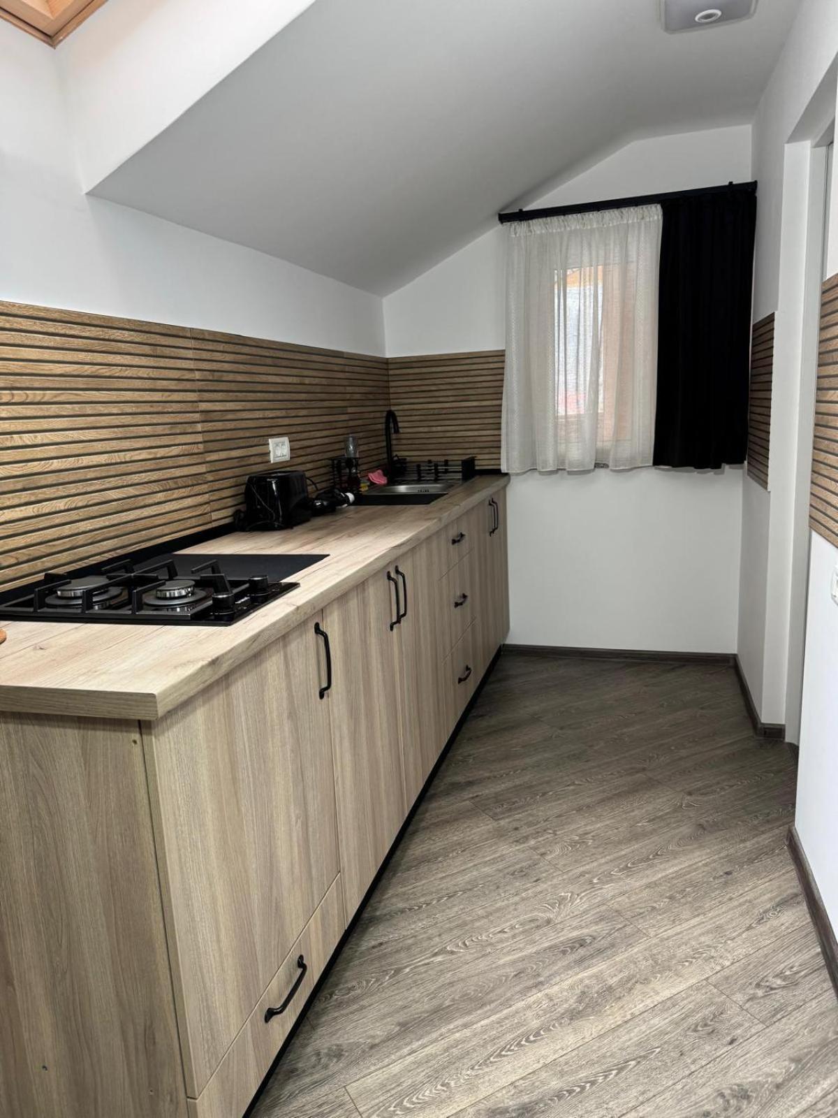 Pensiunea Casa Alexandra 瓦特拉多梅 外观 照片