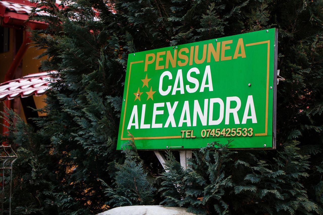 Pensiunea Casa Alexandra 瓦特拉多梅 外观 照片